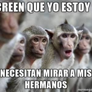 Meet your Posher, Paco